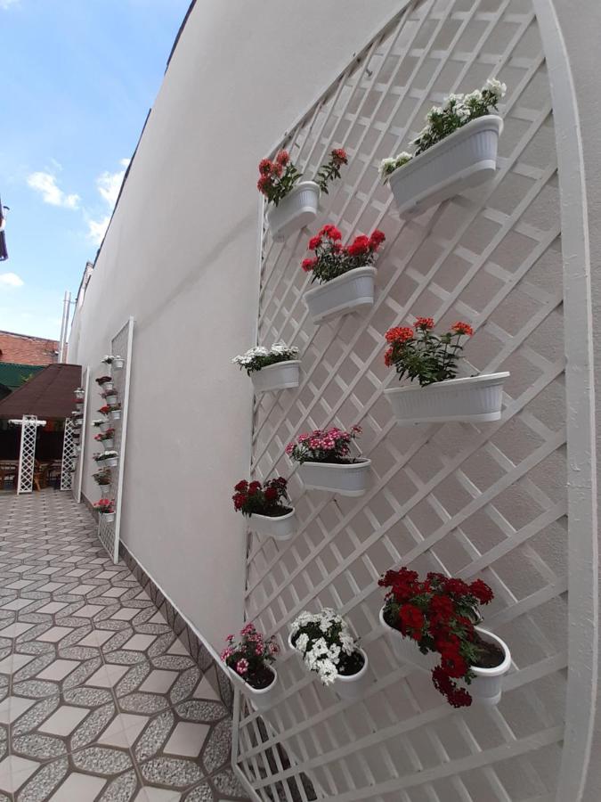 Vila Ada Bucureşti Exterior foto